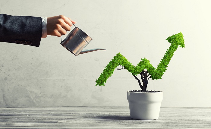 Businesses Growing